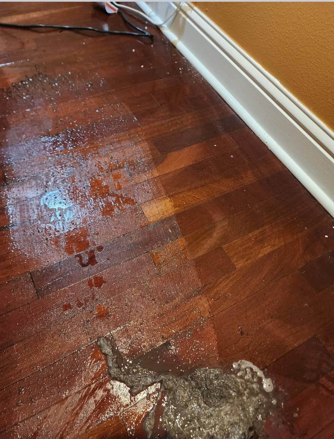 Hardwood-Floor-Cleaning-in-Biloxi-MS