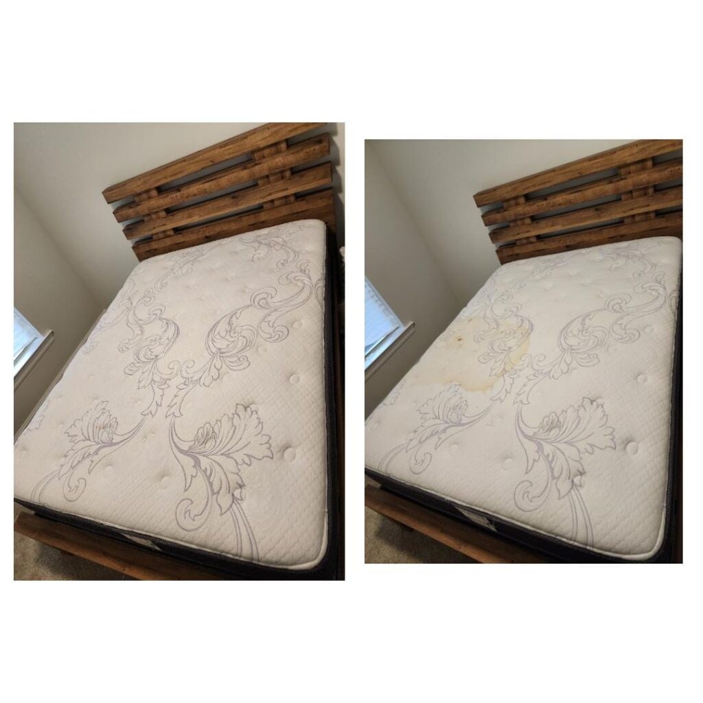 professional-mattress-cleaning