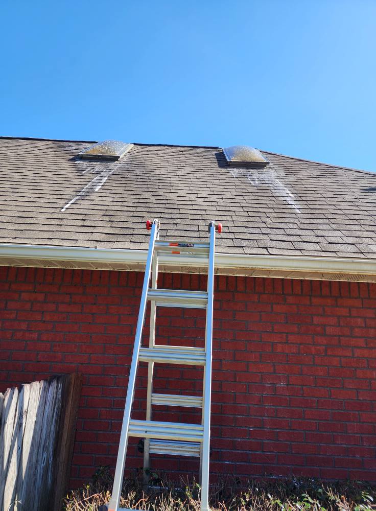 roof-washing-before